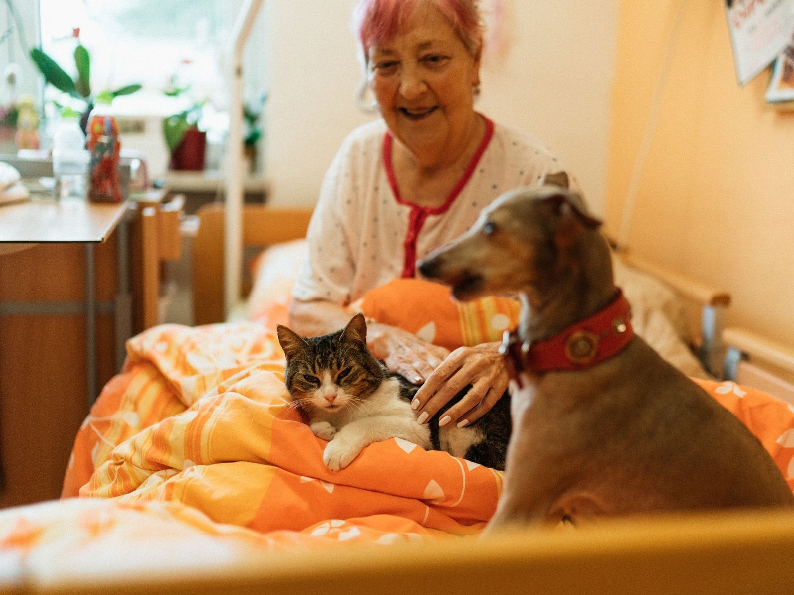 A smiling woman petting her cat while her dog sits close on the bed